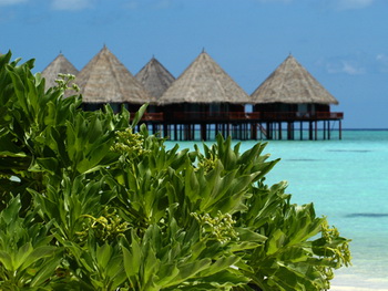 Maldives, Ari Atoll, Velidhu Island Resort